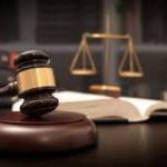Domestic Violence And Pet Abuse: The Link And Legal Protections 5 Lawyer